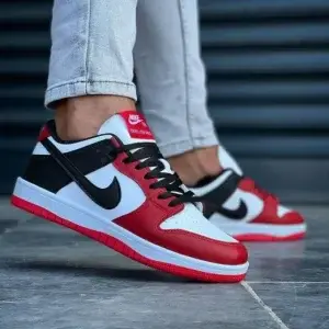 Air Jordan Dunk Low